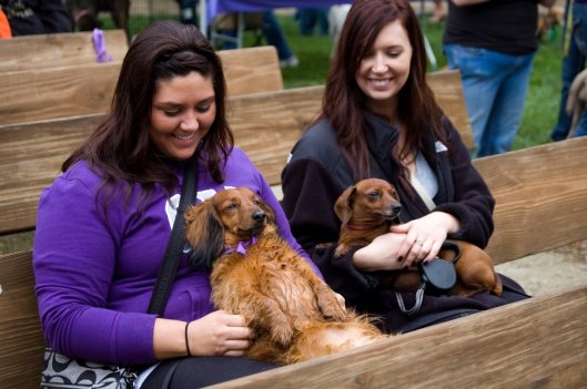 Two ladies sitting on a bench holding their dachshund dogs. The dog on the left has long hair and the dog on the right has short hair. Both ladies are smiling at their dogs.